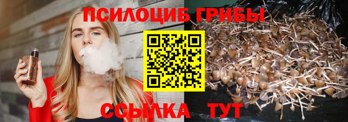 Конаково  Галлюциногенные грибы прущие грибы  Вход с VPN 