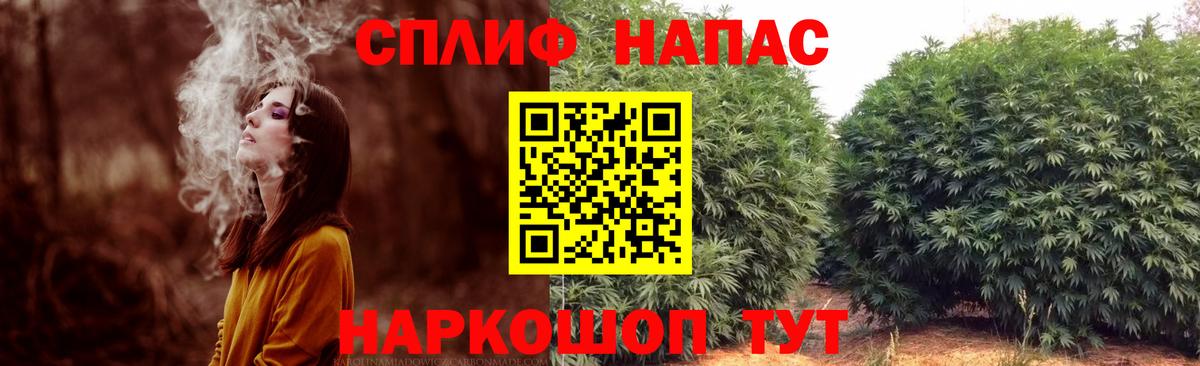 Бошки марихуана семена Конаково
